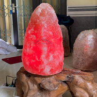 Lampe de Sel de l'Himalaya Extra Large (30-300 kg) en Matériau Organique, Qualité Supérieure, Sculptée, Purificateur d'Air, Lampe de Table, Veilleuse, Amour