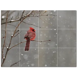 Mural de pared de azulejo de cerámica de pájaro PT500141 32 "W X 24" H Juego de 12 azulejos 8x8 - Product Image 1