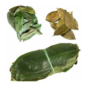 Ingrediente de té de Graviola Hojas de Guanábana secas Premium para compañías de bebidas de té - Product Image 6