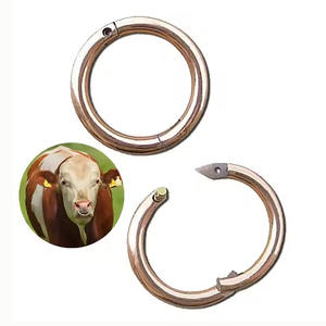 Soporte de toro con cadena Instrumentos veterinarios Soporte de Nariz de ganado Alicates Tipo de cadena Soporte de Nariz de toro para la venta - Product Image 5