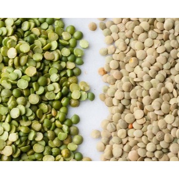 Купить Высокое качество красная чечевица зерна целиком и сплит Премиум Качества Красная чечевица