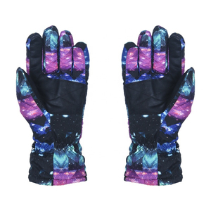 Gants de ski d'hiver chauds pour sports de plein air, imperméables et isolants, prix de gros, gants de ski personnalisés avec logo - Product Image 5