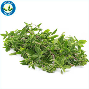 100% คาร์วาคอลออริกาโนบริสุทธิ์และออร์แกนิกจำนวนมากในราคาที่ดีที่สุด - Product Image 6