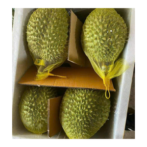 Huele fuerte, sabe más fuerte, prueba nuestro Durian congelado para un toque dulce y cremoso de sabor tropical que nunca olvidarás. - Product Image 2