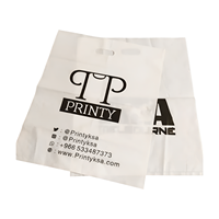 Sacs de marchandises Sacs de boutique en plastique pour petites entreprises Sacs à provisions en plastique au détail Logo personnalisé Wi