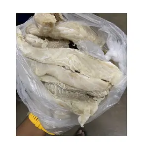 Dried Seafood Export Dry Salted Fish Ikan Masin Isi Yu Salted Shark Meat With 1 year Shelf Life Chiller Storage
