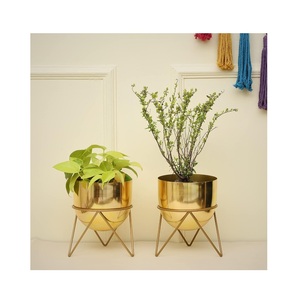 Lot de 3 pots de fleurs en métal doré élégants pour la décoration de la maison et du salon Conteneur d'herbes aromatiques à prix raisonnable - Product Image 3