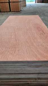 Madera Contrachapada Comercial Moderna con Cara de Madera de Bintangor/Okume/Pino, Núcleo Mixto de Madera Dura, Pegamento E2/E1, Diseño para Apartamentos, Uso de Eucalipto - Product Image 4