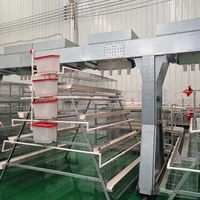 Système de cages commerciales pour poulets pondeuses avec équipement d'alimentation automatique pour élevages avicoles