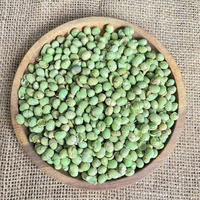 Collation frite croustillante de soja vert rôti salé du Vietnam pour la production en gros d'OEM/ODM exportation en vrac dans le monde entier