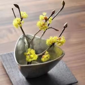 Moderno y Ecológico Tazón Decorativo de Acero al Carbono para Frutas, Centro de Mesa para Bodas, Cocina y Decoración del Hogar - IHC - Product Image 3
