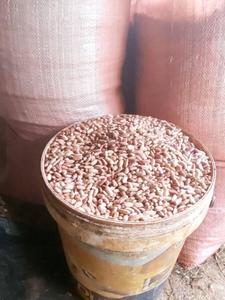 ถั่วแครนเบอร์รี่ถั่วแดงจุดเล็กทรงกลมสำหรับอบแห้ง - Product Image 3