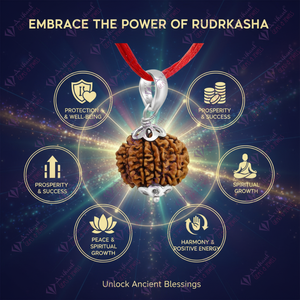 Colgante Rudraksha Nepalí de 11 Mukhi, Plata 925, 100% Original y Certificado con Corte Esmeralda y Dije de Coral de Once Caras - Product Image 3
