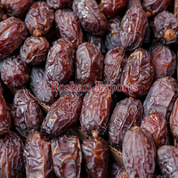 Kurma budaya jaringan