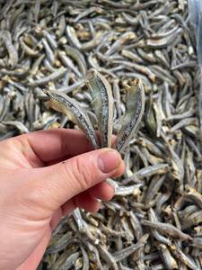 Anchoa seca pescado pequeño Vietnam alta calidad temporada embalaje personalizar mercado - Product Image 5