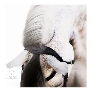 Utimizado para plegar el arroz, remache plegable - Product Image 2