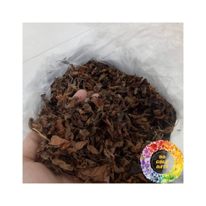 Approvisionnement en gros de feuilles de gelée d'herbe noire séchée en vrac de qualité supérieure avec une longue durée de conservation et des prix compétitifs - Product Image 1