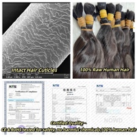 Extensiones de Cabello Brasileño con Frente de Encaje 13x4 5x5, Cabello Liso para Tejido con Cierre de Encaje Suizo HD en Color Rubio Balayage