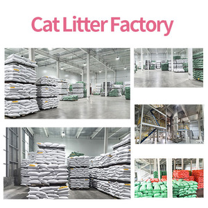 <span class=keywords><strong>Arena</strong></span> de <span class=keywords><strong>arena</strong></span> <span class=keywords><strong>para</strong></span> gatos Tofu <span class=keywords><strong>para</strong></span> máquina de petting Compre muestras gratis 10l Muestra de OEM natural - Product Image 3