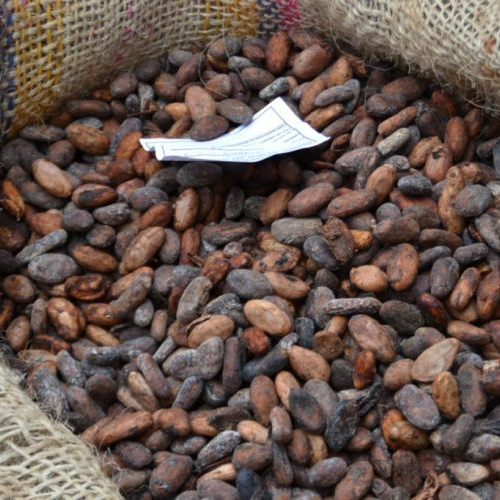 Какао бобы Ariba какао бобы сушеные сырые какао бобы