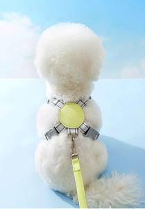 Correa de Pecho Transpirable de Nailon y Poliéster para Perros Pequeños/Medianos, Correa Ajustable Tipo Chaleco Reflectante para Perros, de Vietnam - Product Image 4