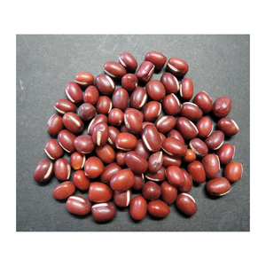 ขายถั่ว Vigna Adzuki - Product Image 6