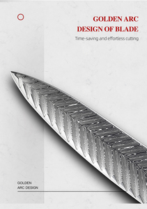 มีดเชฟในครัวดามัสกัสพร้อมที่จับไม้ทำจากเรซินบริการ OEM ODM แบบมืออาชีพสไตล์ใหม่ล่าสุด - Product Image 3