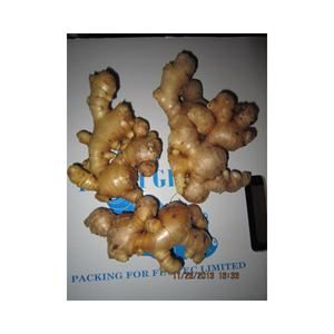 Racine entière naturelle de gingembre frais pour plateaux de vente au détail kits de repas et étagères d'épicerie, cultivée au Vietnam, qualité d'affichage premium - Product Image 5