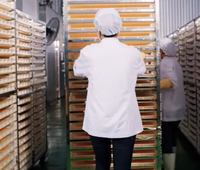 Vietnam Zacht Gedroogde Mango Premium Kwaliteit Natuurlijke Tropische Fruit Snack Voor Export En Groothandel