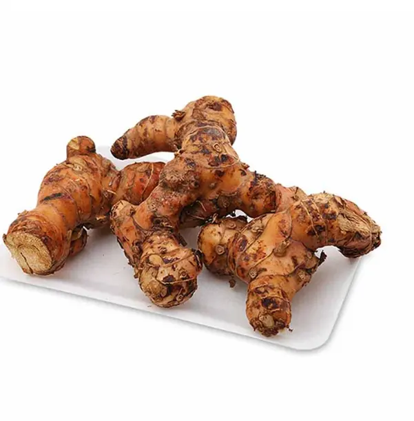 Harga Yang Wajar Frozen Galangal/Alpinia Officinarum Vega Nam Di Musim Ini Ms Hana