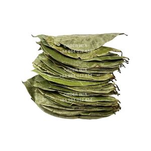 Haute qualité de qualité supérieure 100% feuilles de corossol séchées naturelles thé de santé biologique sans conservateurs emballage de sac PE/PP - Product Image 6