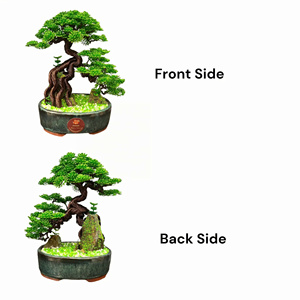 Over rock tree metal Wire <strong>Bonsai</strong> Tree <strong>art</strong> Sculpture Summer Trees decoration Artificial Plant handmade St. Patrick's Day Gift - Product Image 3