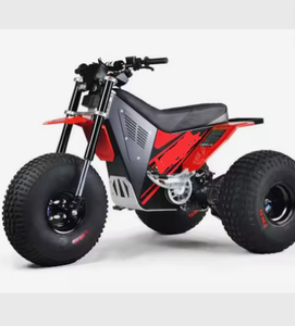 Precio con descuento para la motocicleta eléctrica de 3 ruedas M I N I R CR T 3 E l e c t r i c 3 W h e e l E- B i k e - Product Image 1