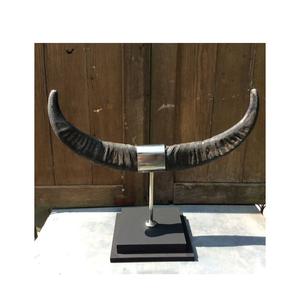 Paire de vaisselle en corne de buffle moderne, support en laiton doré, paire de corne de buffle pour taille personnalisée et prix bas - Product Image 5