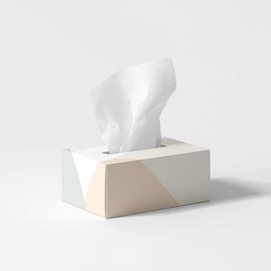 Offre Spéciale : Boîte de mouchoirs en papier Ruby, 2 plis, doux, pour le visage, emballage personnalisé, en pâte de bois vierge, approvisionnement en gros pour la maison - Product Image 4