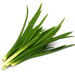 Hoja Pandan natural al mejor precio hojas Pandan verdes para pedidos a granel cosechados de Vietnam - Product Image 4