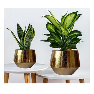 El último florero decorativo de Metal con acabado dorado martillado para el hogar y la Oficina, floreros decorativos de mesa - Product Image 3