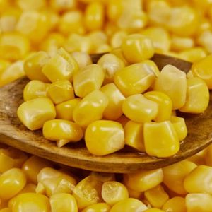 Maïs sucré en conserve en saumure certifié de haute qualité - Product Image 6