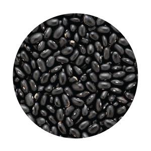 Frijoles negros de primera calidad, suministro al por mayor a granel de frijoles negros ricos en proteínas y fibra para comidas saludables - Product Image 1