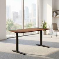 Bureau électrique surélevable personnalisé à double moteur dissimulé, 3 niveaux, avec pieds ovales, stable, réglable en hauteur, ergonomique, pour position assise ou debout, design minimaliste