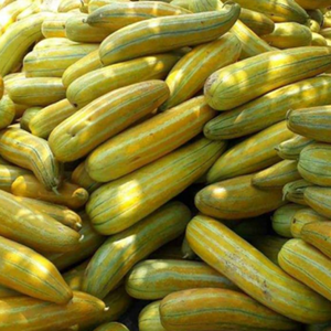 Vente chaude de cantaloup séché de haute qualité-Fruits séchés à bon prix du fournisseur du Vietnam - Product Image 3