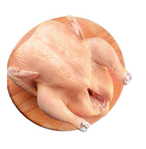 เนื้อไก่งวงแช่แข็งสด เนื้อหลังสองชั้น คุณภาพจากฟาร์ม โปรตีนสูง สำหรับตลาดขายส่งและขายปลีก - Product Image 3