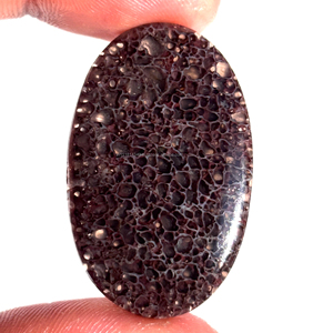 Cabochon en os de dinosaure naturel pierres précieuses en vrac faites à la main pierres précieuses de guérison semi-précieuses de qualité AAA lisses toutes formes et tailles - Product Image 1