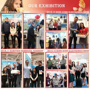 Tanzania gia cầm năng lượng mặt trời công nghiệp hatchrite gà Máy Ấp Trứng 15 3520 10000 19200 25000 trứng 100 trứng 200egg 1000 trứng - Product Image 4