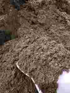 Semis de substrat de mousse de tourbe de sphaigne baltique de haute qualité pour plantes coupées plantes ornementales de tabac - Product Image 3