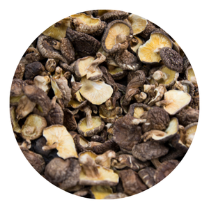 Hongos Shiitake secos nutritivos a granel/Seta Shiitake para cocinar-Sra. Shyn Tran - Product Image 1