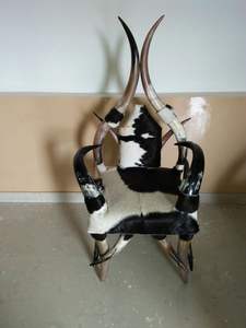 Chaise en corne de vache naturelle polie, confortable, designable, anti-déchirure, écologique, artisanat indien, animal - Product Image 3