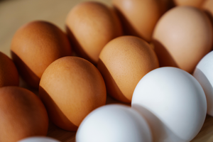 Huevos de Gallina Frescos de Cáscara Marrón de Alta Calidad a Precio de Fábrica / Huevos de Mesa de Granja al por Mayor en Bandeja Grande de 30 Huevos - Product Image 2