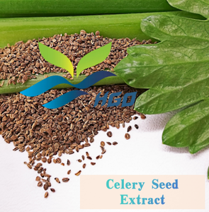HGO Factory Fourniture directe d'extrait de graines de céleri naturel pur (qualité alimentaire) Spécification 10:1 (extrait de rapport) - Product Image 5