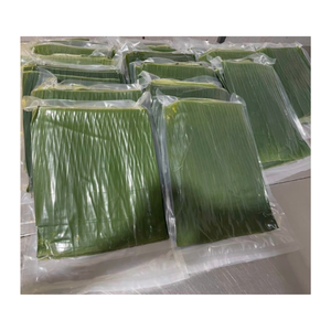 Hojas de plátano verde IQF congeladas superventas para una buena envoltura-Hojas de plátano congeladas a precio barato, hojas de plátano frescas congeladas - Product Image 6